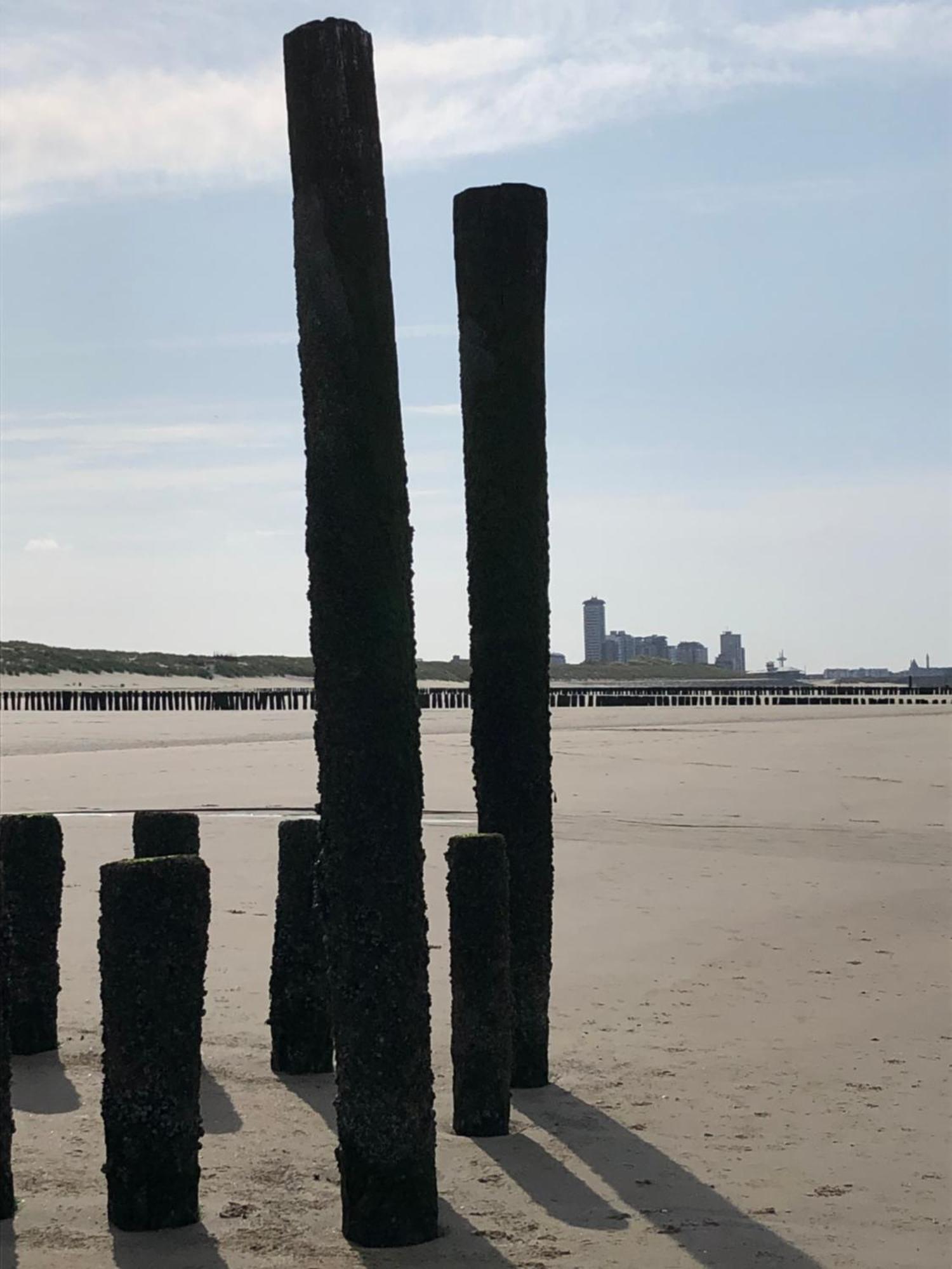 B&B Zeeuws Genoegen Vlissingen Bagian luar foto